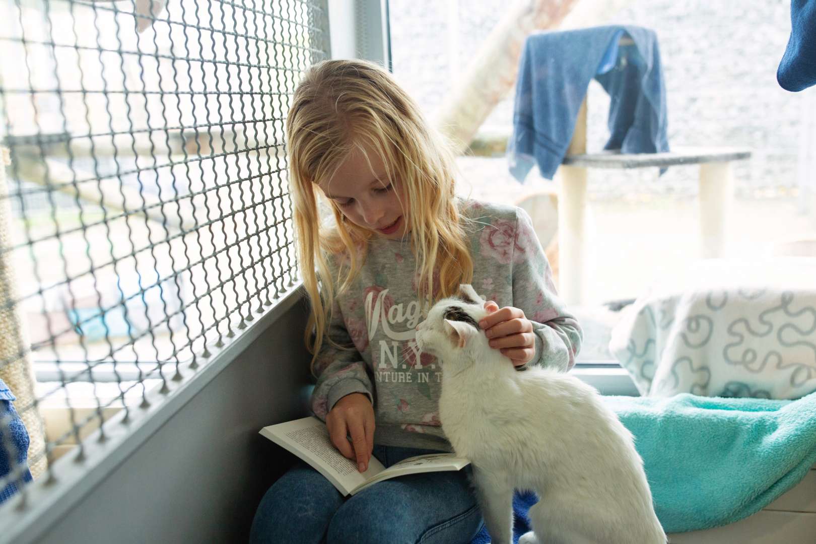 Kinder lesen Katzen vor