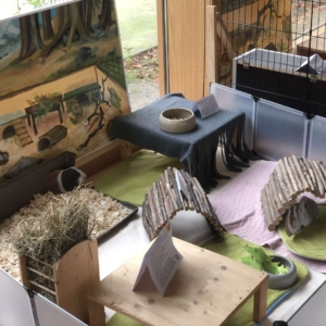 Ausstellung des Jugendtierschutz