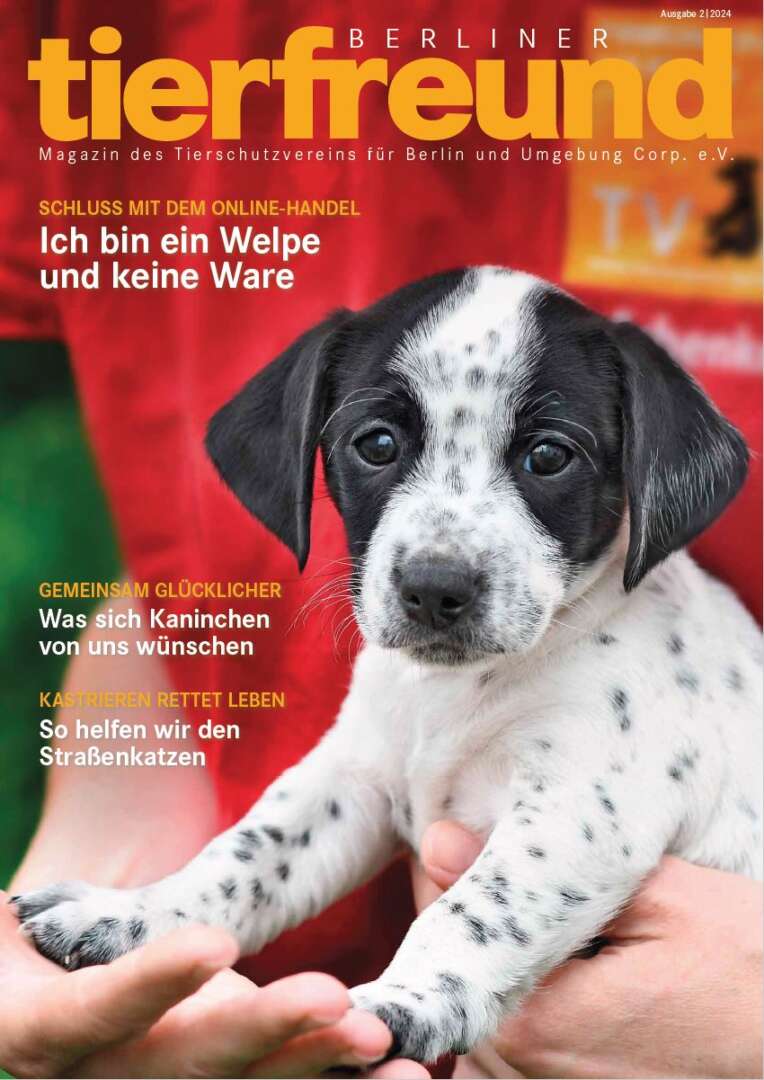 Cover Berliner Tierfreund
