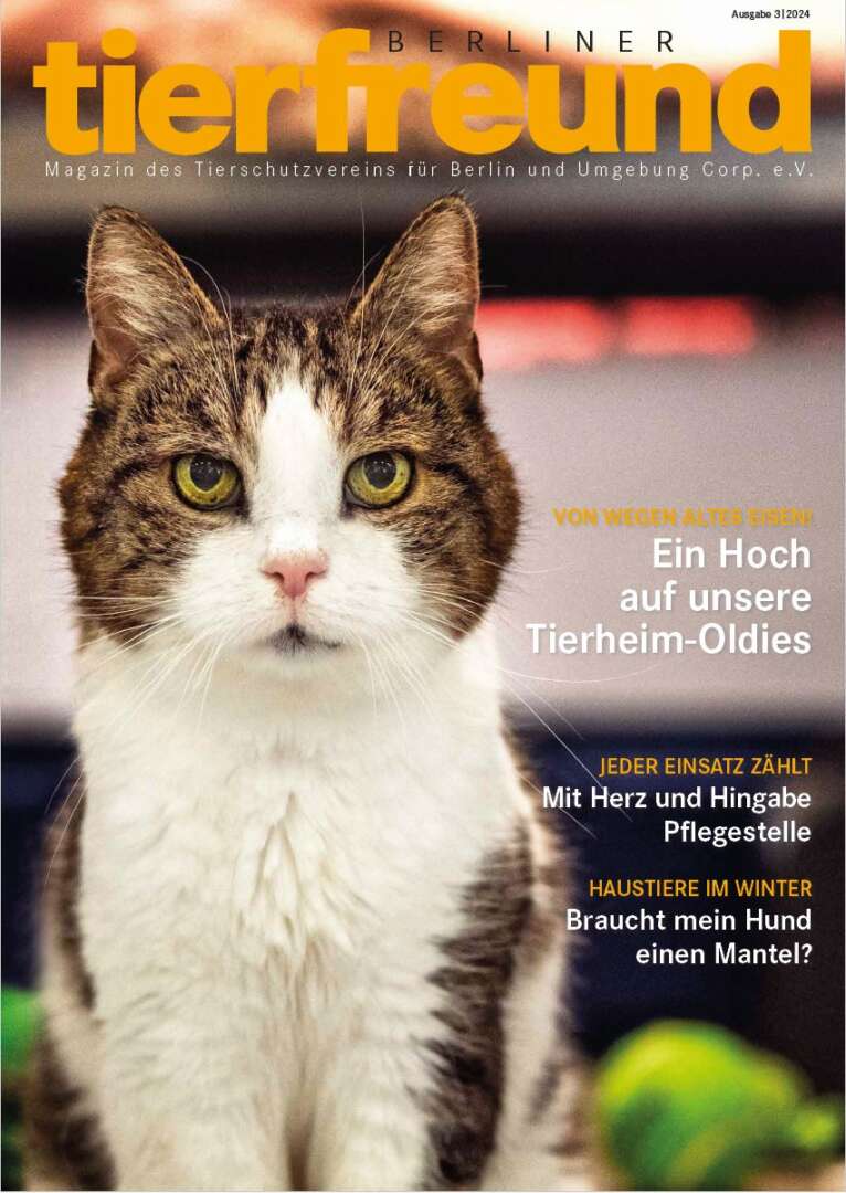 Cover Berliner Tierfreund